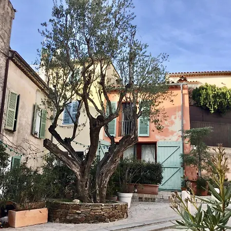 Apartment Ravissant Climatise Gambetta Misericorde Au Coeur De *